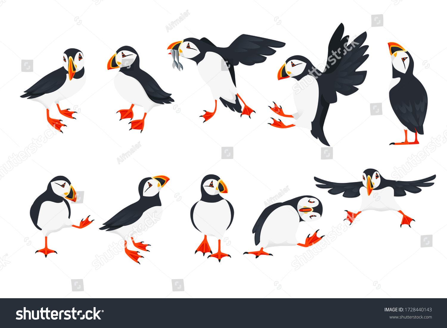 SVG of Set of atlantic puffin bird in different poses cartoon animal design flat vector illustration isolated on white background svg