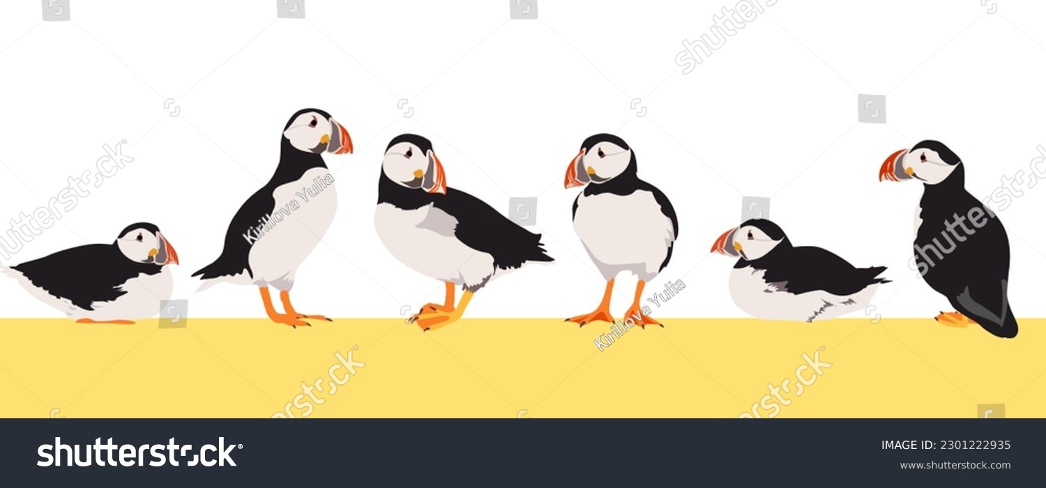 SVG of Set of atlantic puffin bird in different poses. Design flat vector illustration isolated on white background. Fratercula arctica. svg