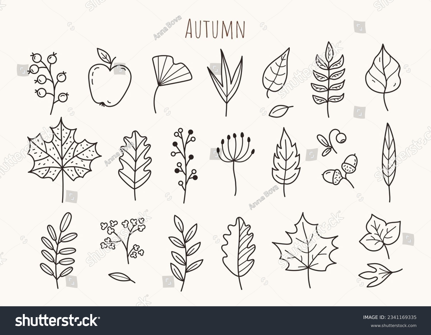 SVG of Set of autumn doodles. Hand drawn autumn elements: leaves, berries, acorns, apple, flowers. Hand drawn, sketch. Vector illustration. svg