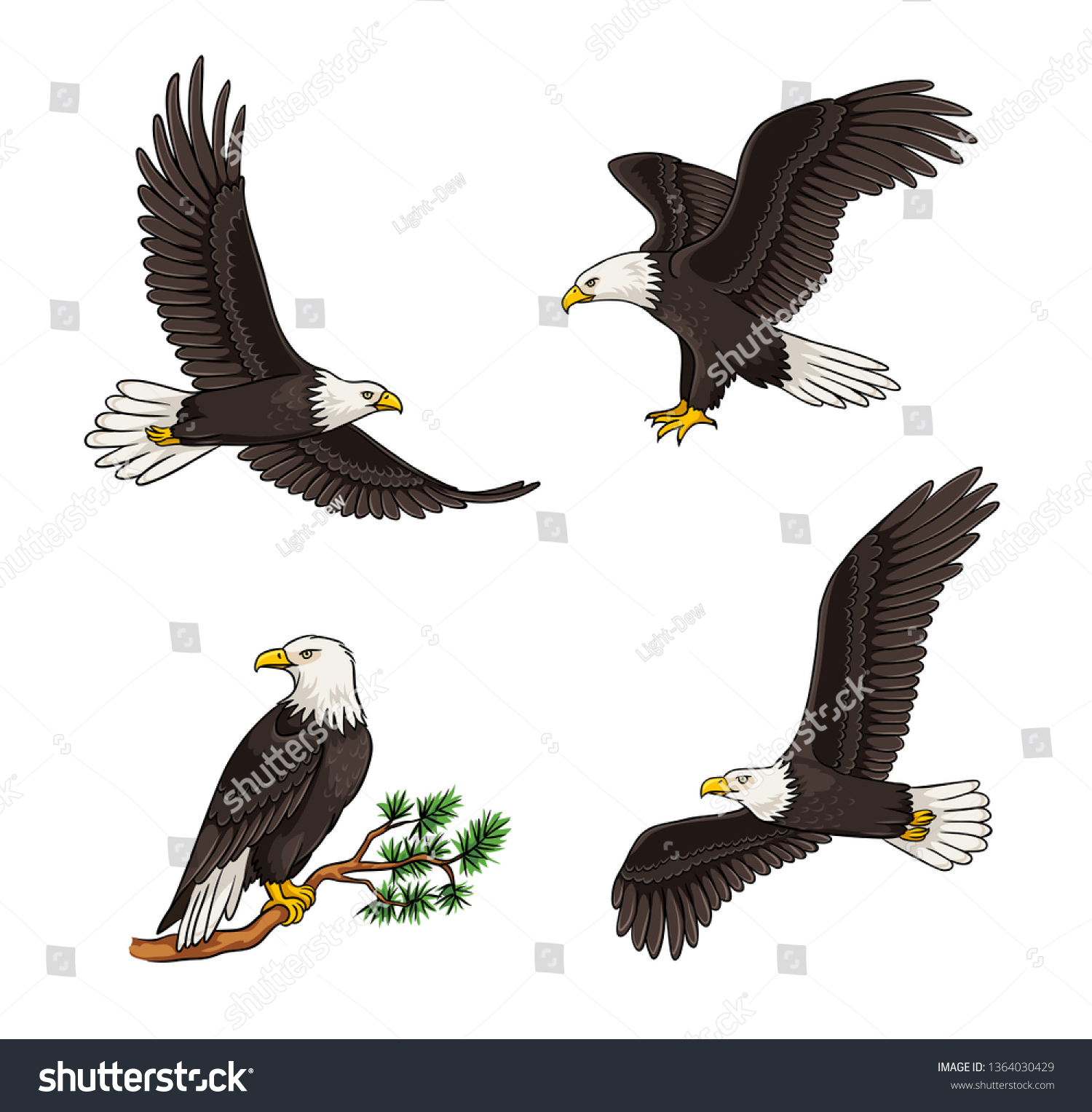 364,969 Eagle bird image Images, Stock Photos & Vectors | Shutterstock