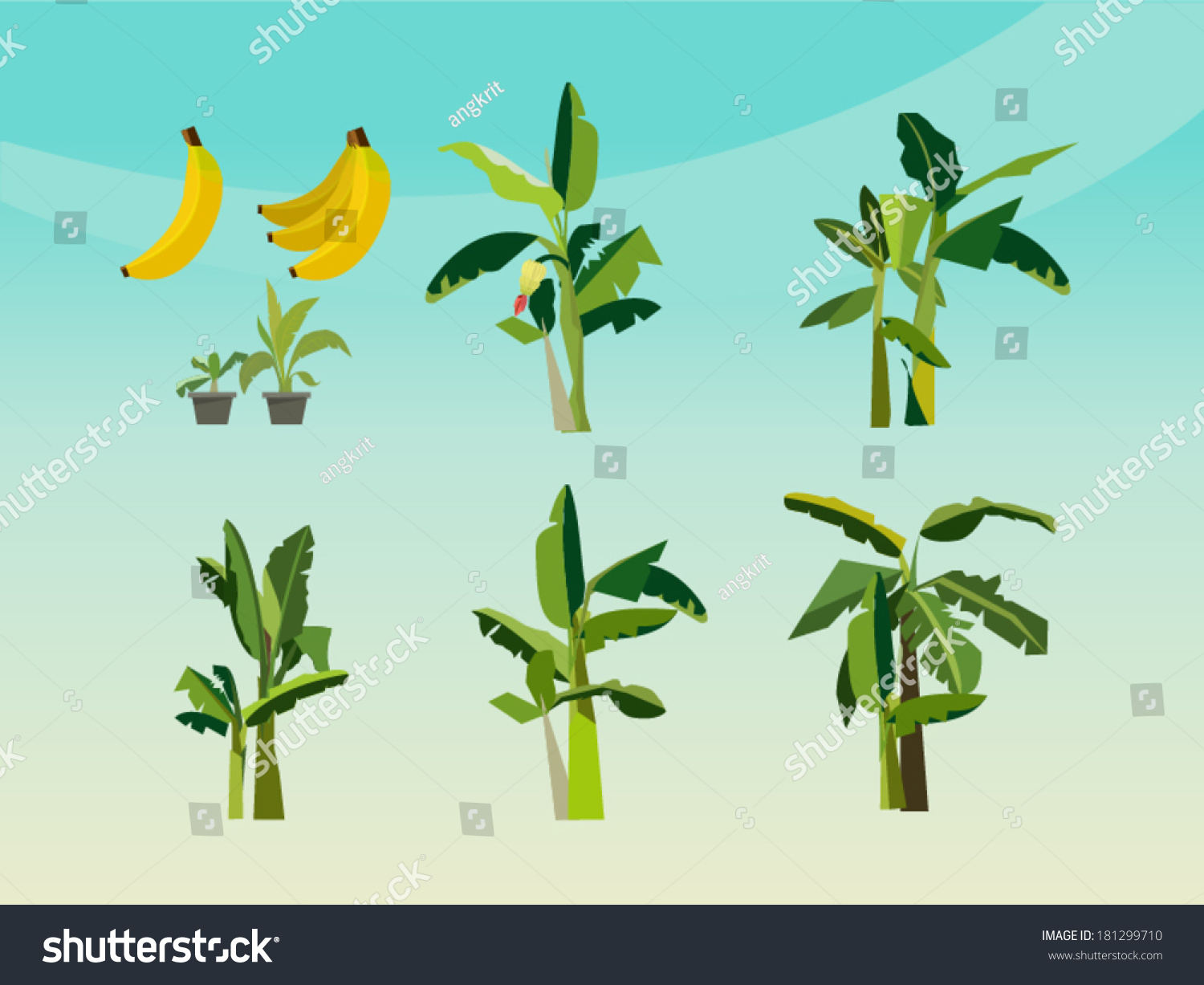 Set Of Banana Tree - Icon Vector - 181299710 : Shutterstock