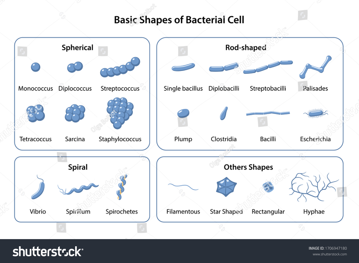 2,721 Spiral bacteria Images, Stock Photos & Vectors | Shutterstock