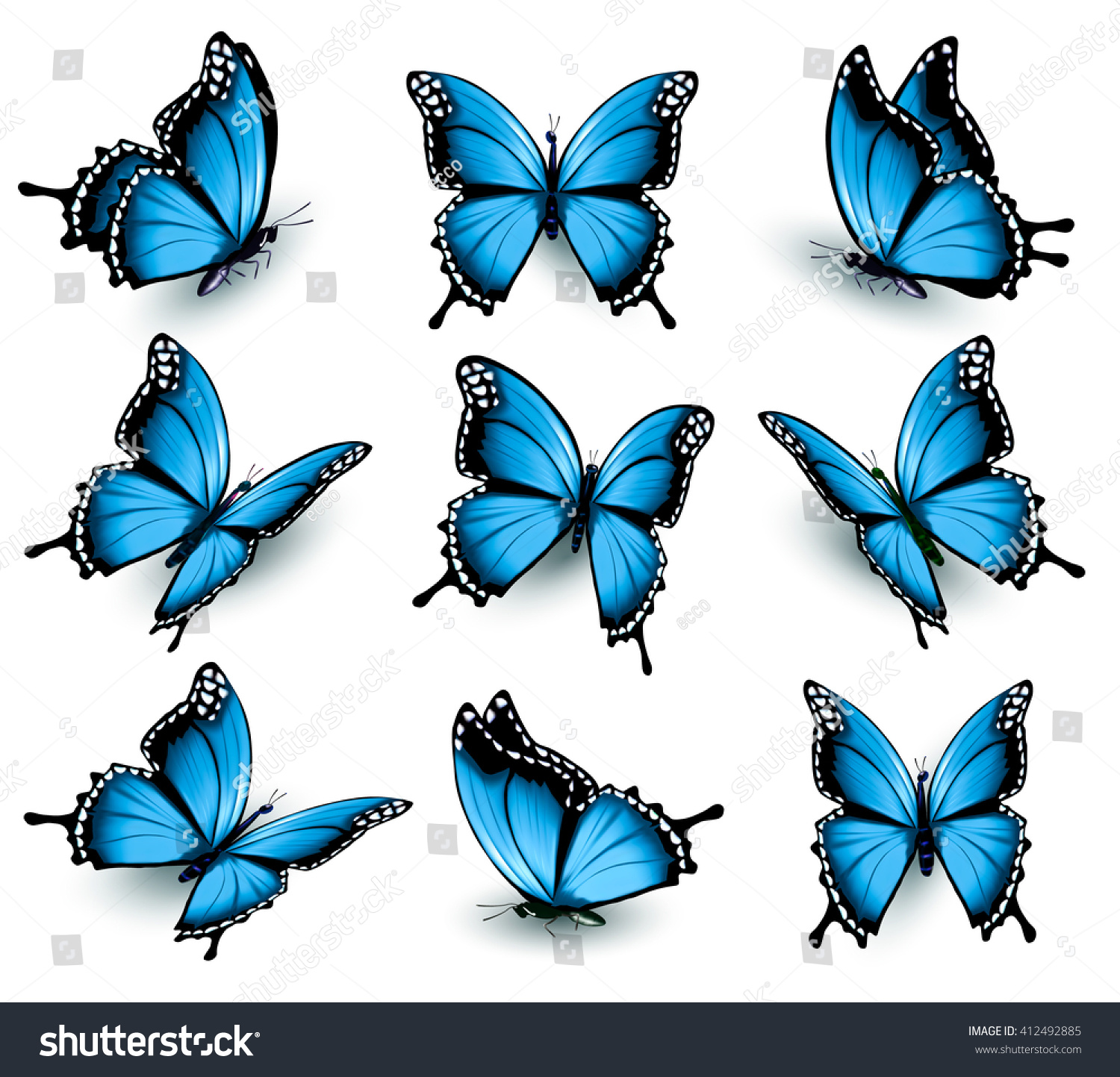 Set Of Beautiful Blue Butterflies. Vector. - 412492885 : Shutterstock