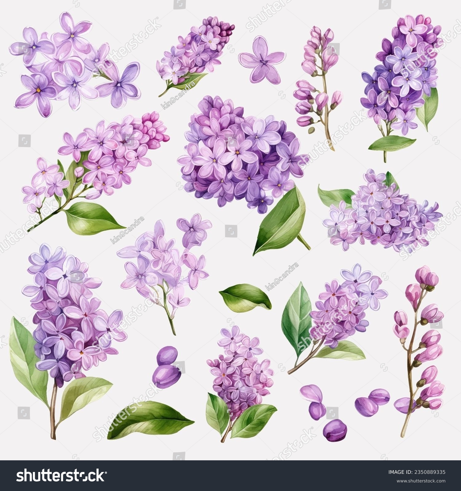 SVG of Set of Beautiful Lilac Flowers svg