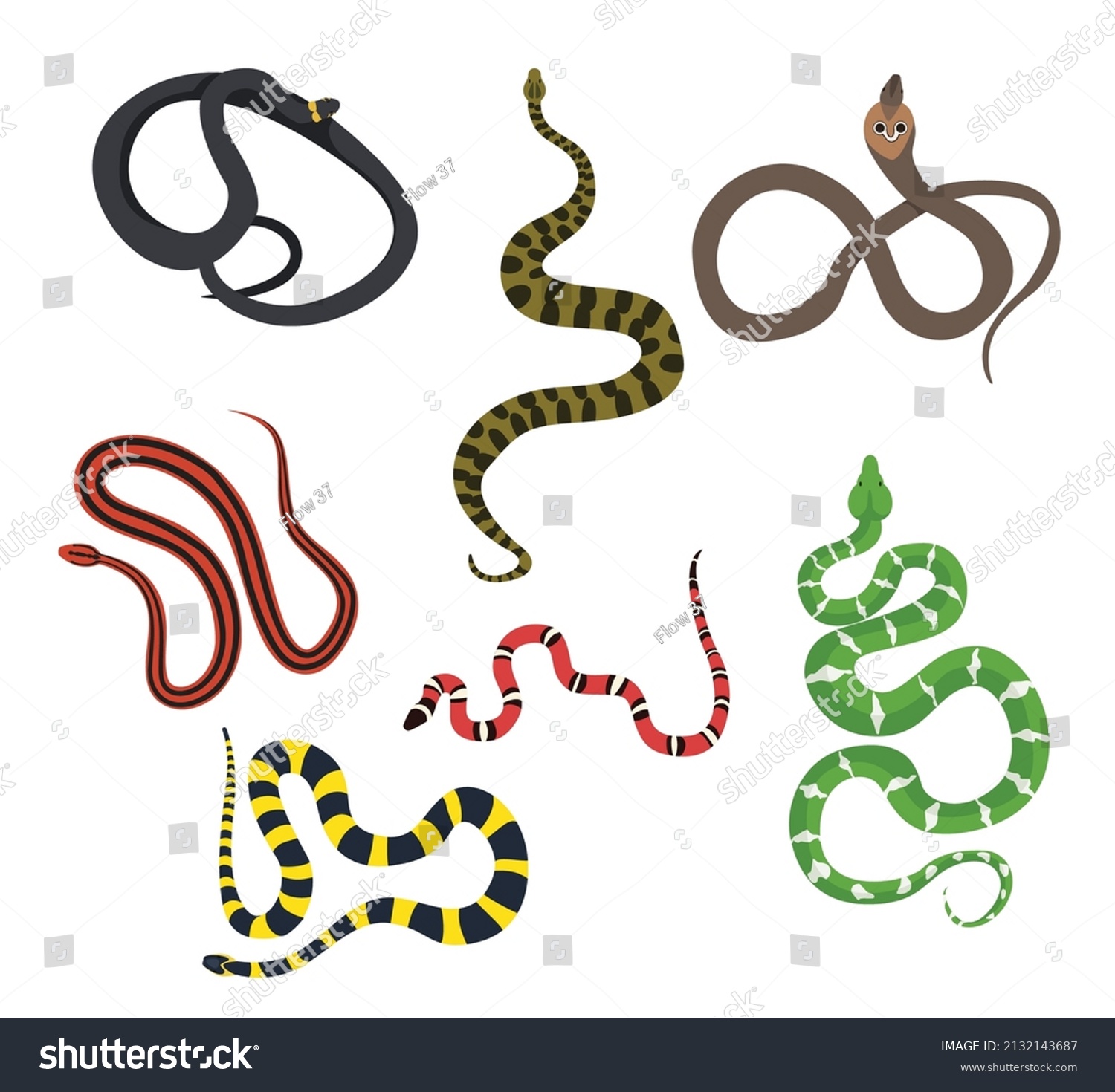 182 Red tail boa Stock Illustrations, Images & Vectors | Shutterstock