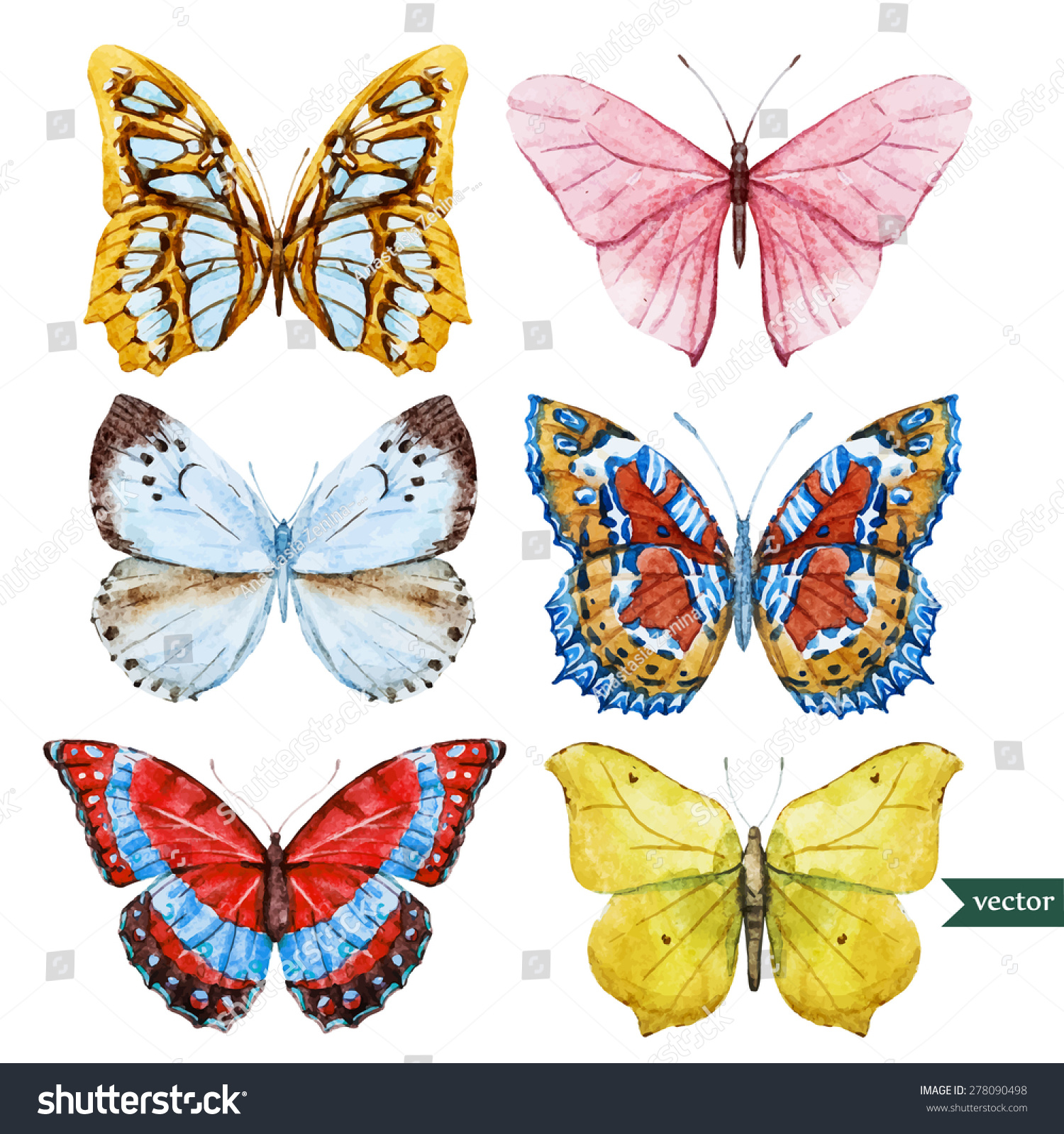 Set Beautiful Watercolor Butterflies Vector Illustration Stock Vector ...