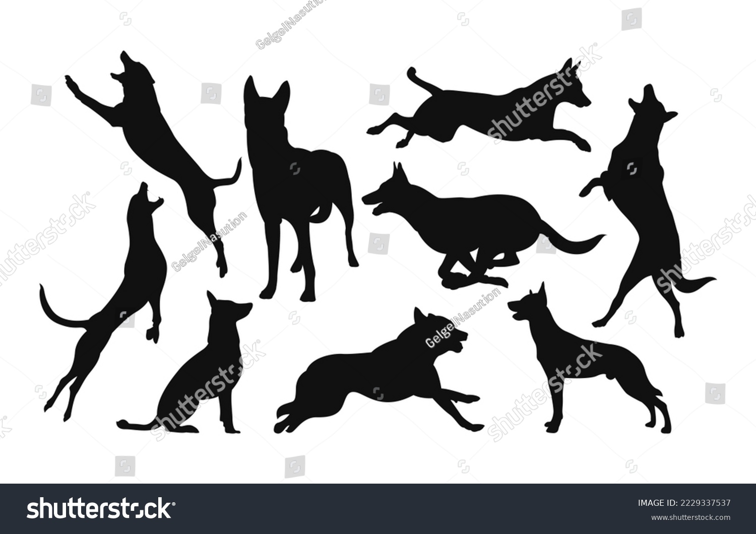 SVG of Set of belgian malinois dog silhouette isolated one white background svg