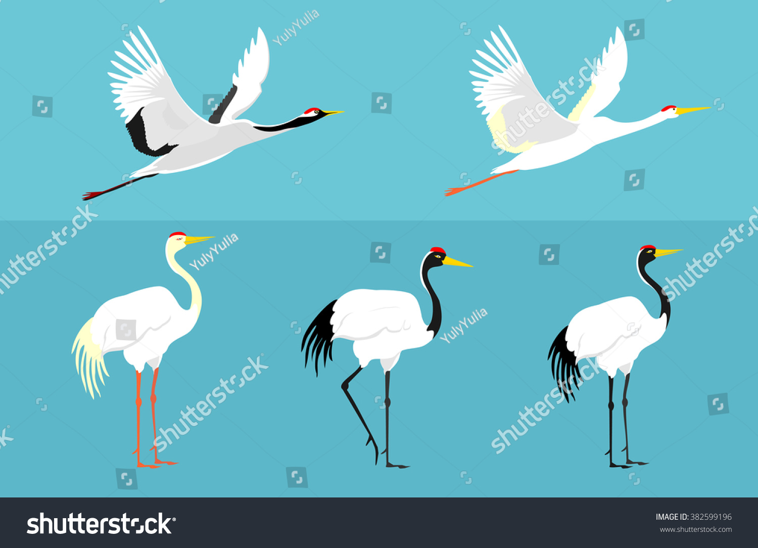 Set Birds Crane Stork Heron Vector Stock Vector 382599196 - Shutterstock