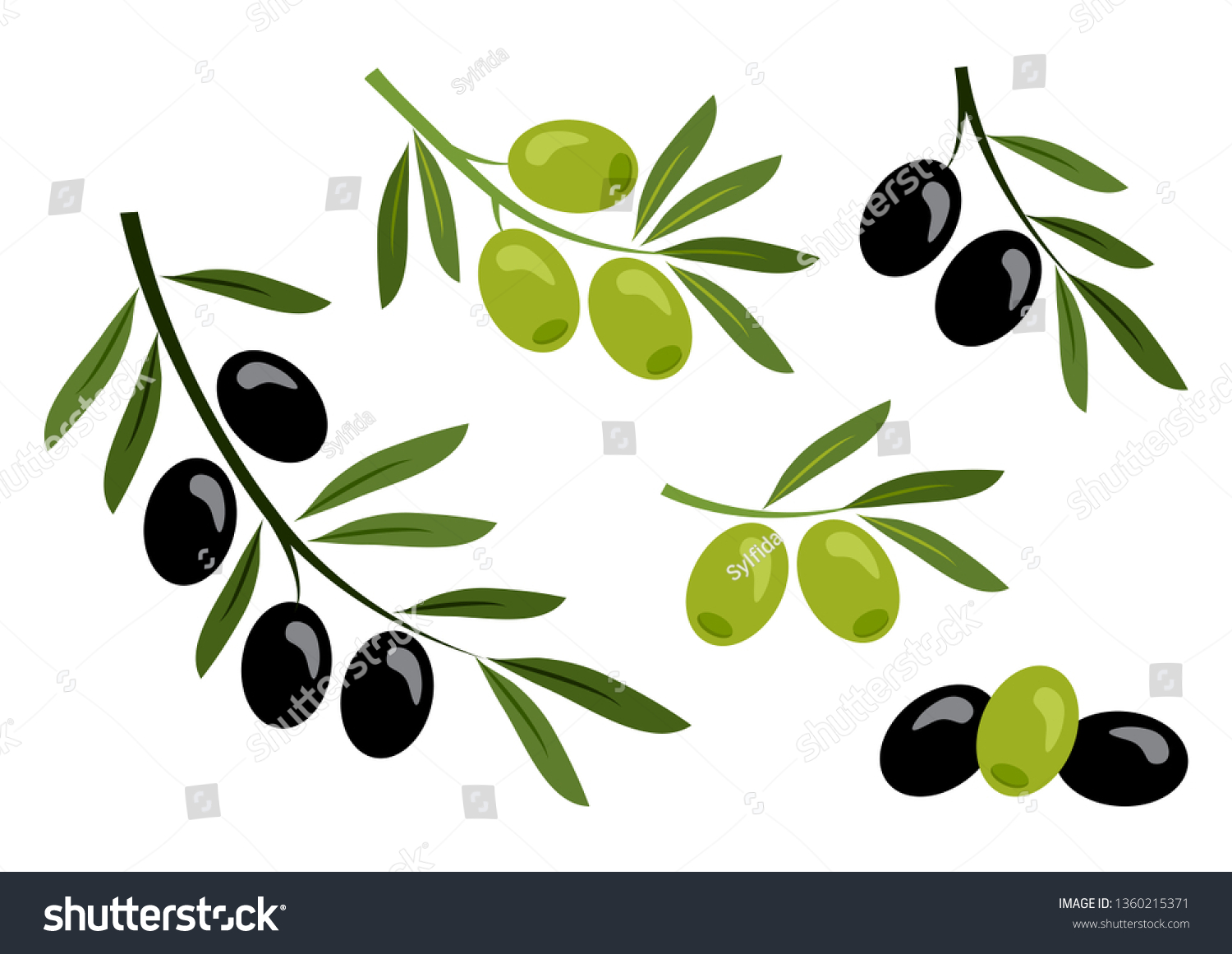 Set Black Green Olives Branch Olives Stock Vector Royalty Free 1360215371 