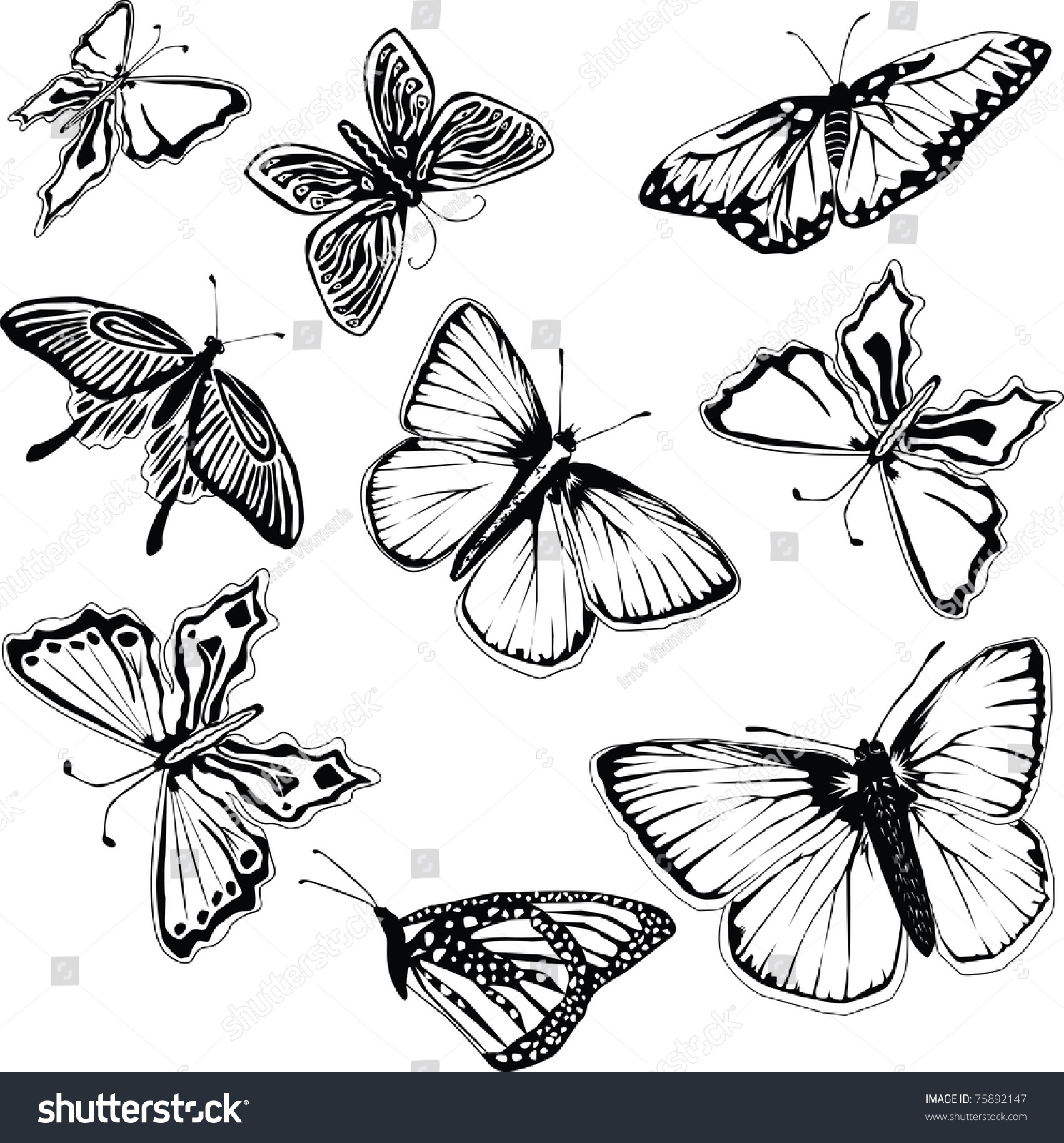 Set Black White Vector Butterflies Stock Vector 75892147 - Shutterstock