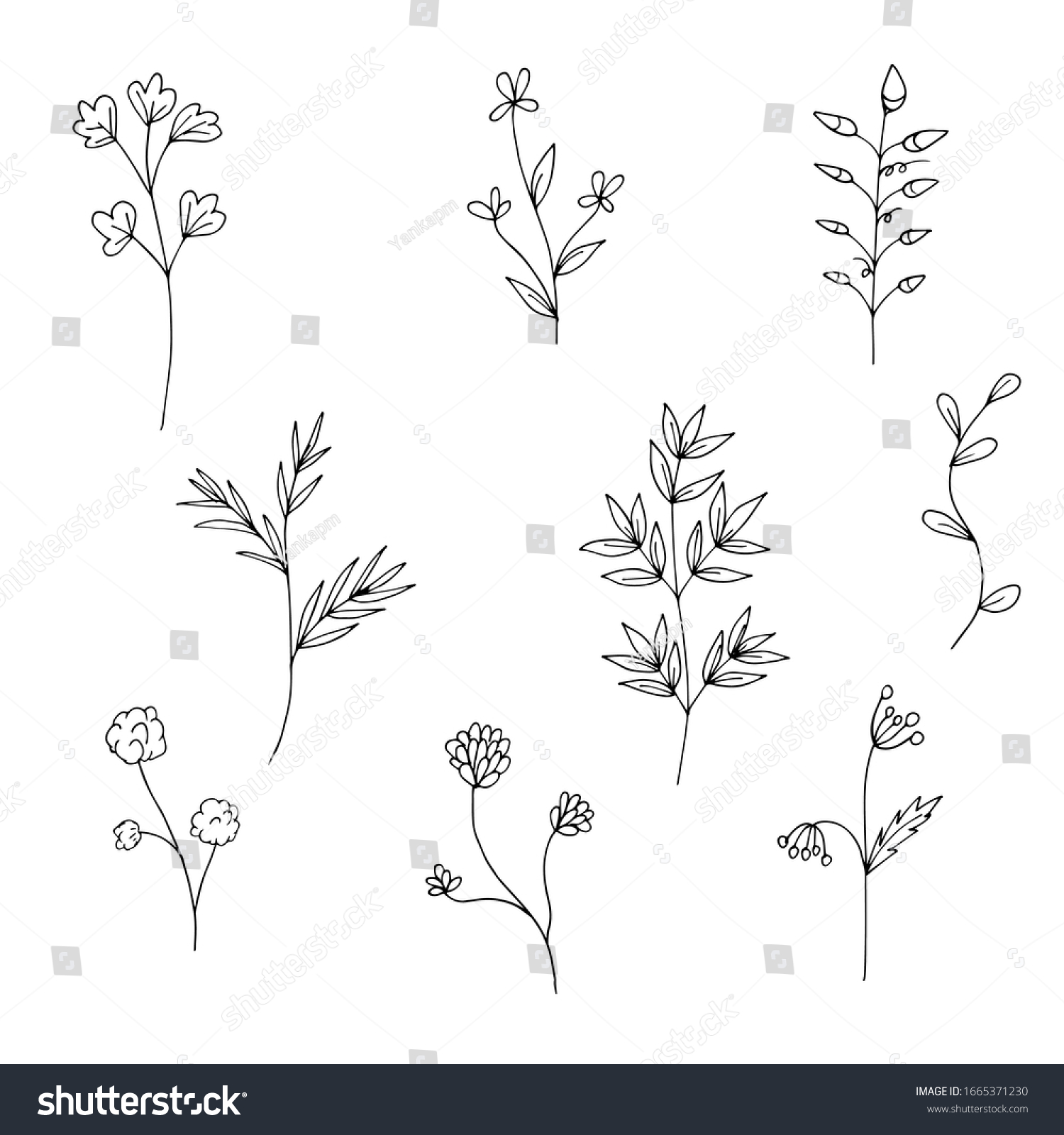 Set Black White Wildflowers Doodle Style Stock Vector (Royalty Free ...