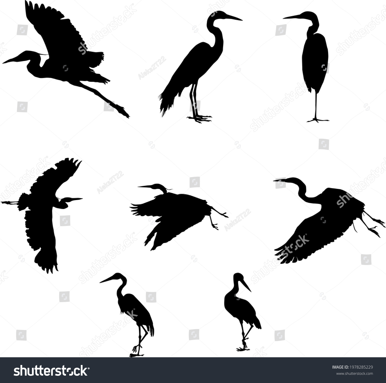 1,854 Chinese egret Images, Stock Photos & Vectors | Shutterstock