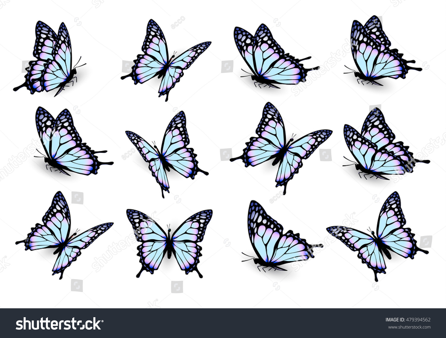 Set Blue Butterflies Flying Different Directions Stock Vector (Royalty ...