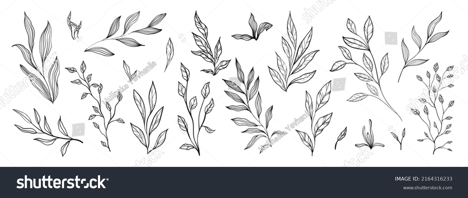 SVG of Set of branch and leaves collection. Floral hand drawn vintage set. Sketch line art illustration. Element design for greeting cards and invitations of the wedding, birthday svg