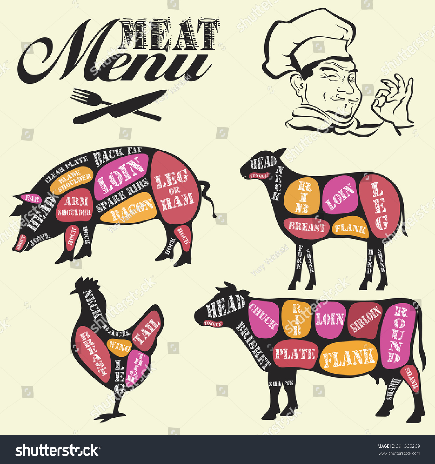 Set Butcher Shop Labels Design Elements Stock Vector (Royalty Free ...