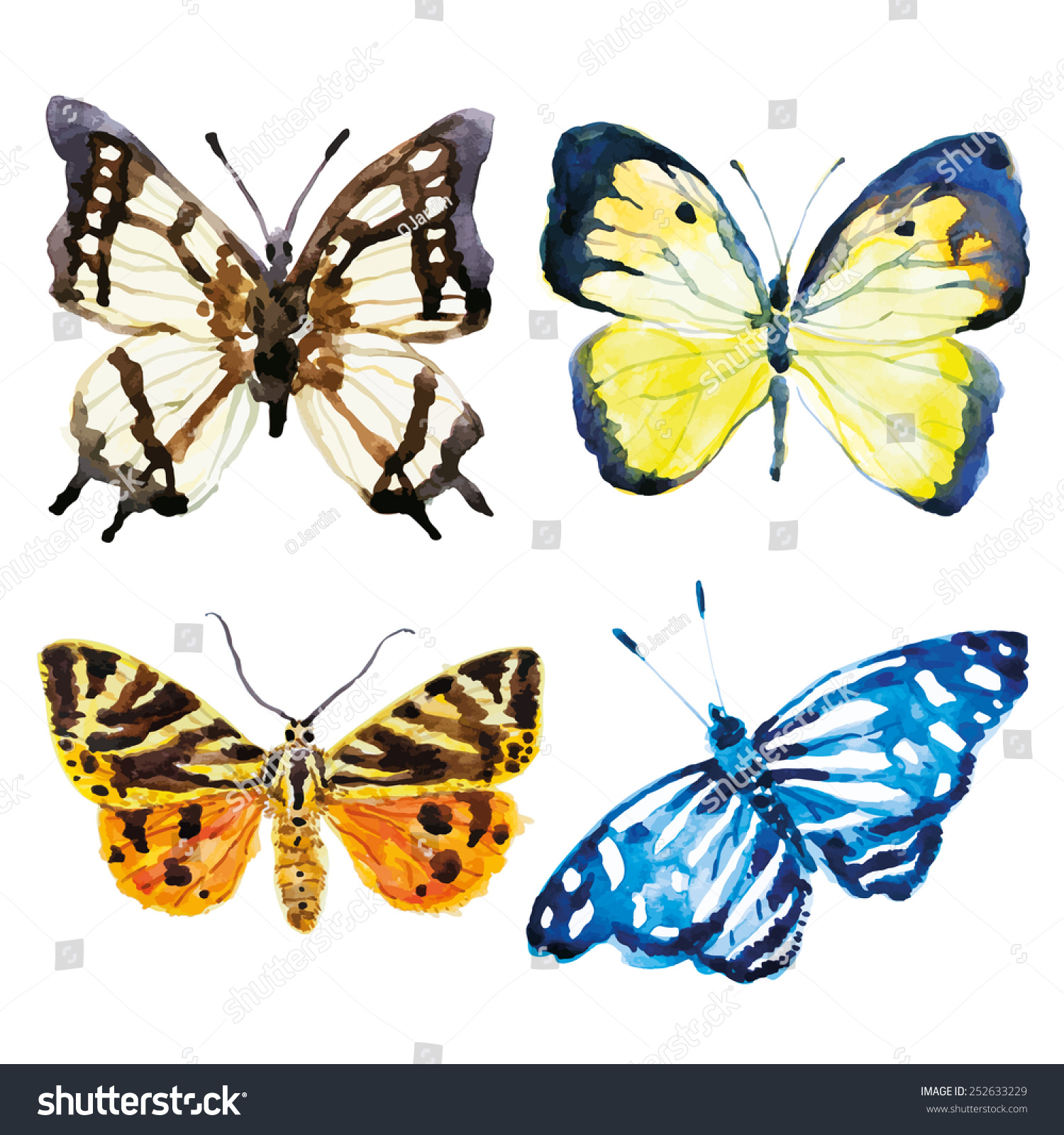 Set Of Butterflies On The White Background. Watercolor. Stock Vector ...