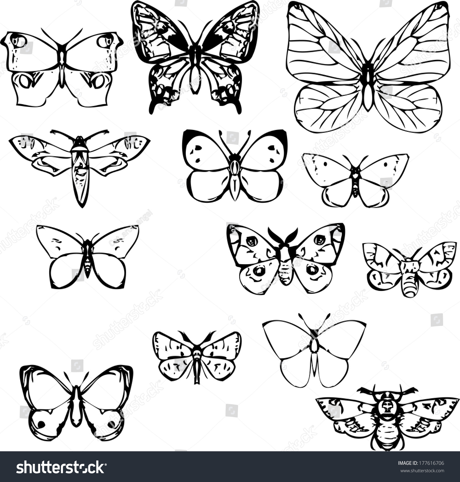 Set Of Butterflies, Vector Illustration - 177616706 : Shutterstock