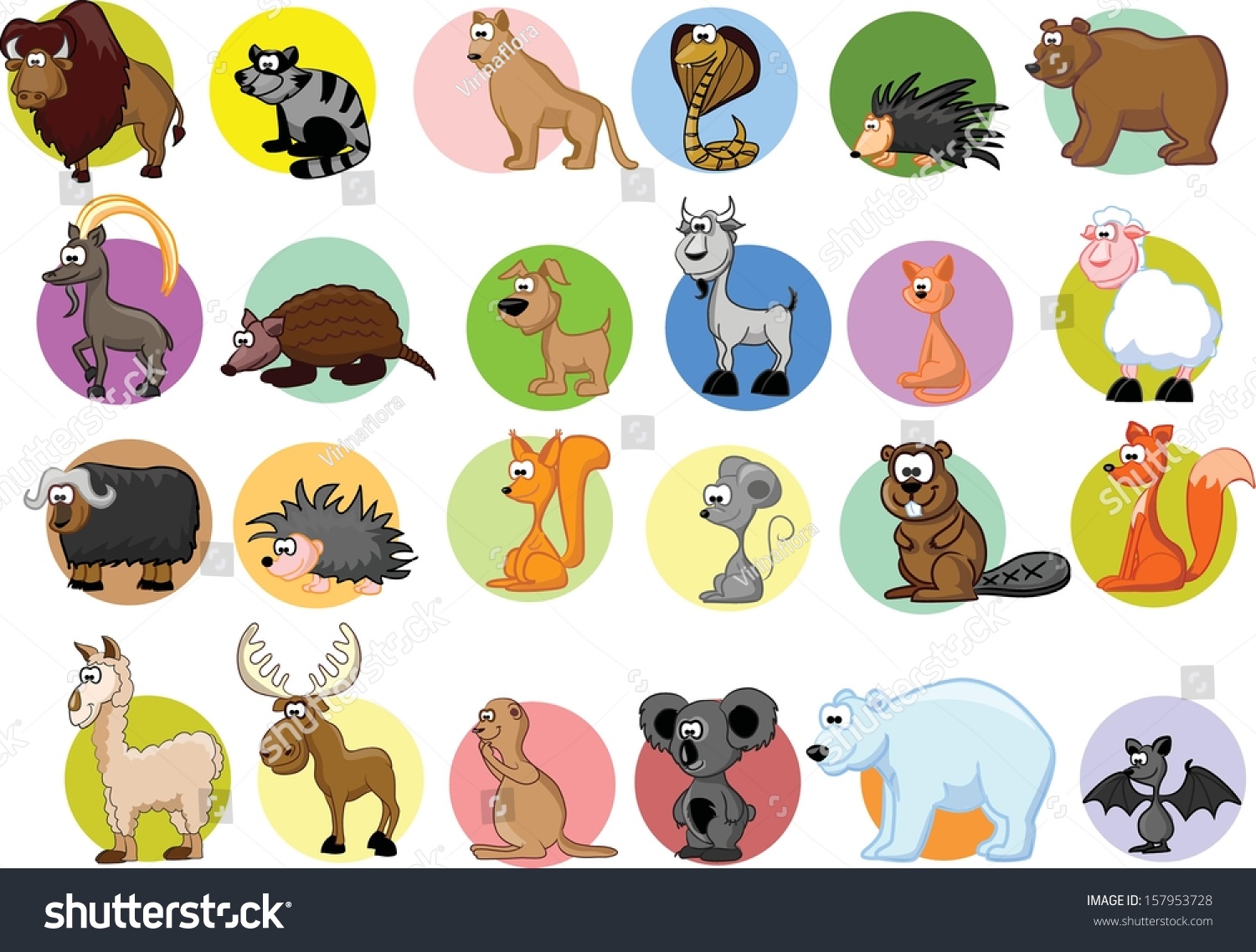 Set Of Cartoon Animals Stock Vector Illustration 157953728 : Shutterstock