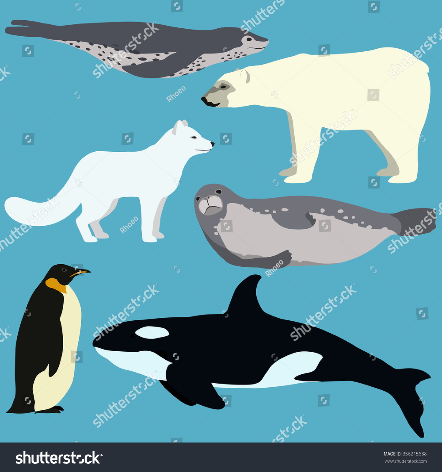 Set Cartoon Arctic Antarctic Animals Vector Stock Vector (Royalty Free ...