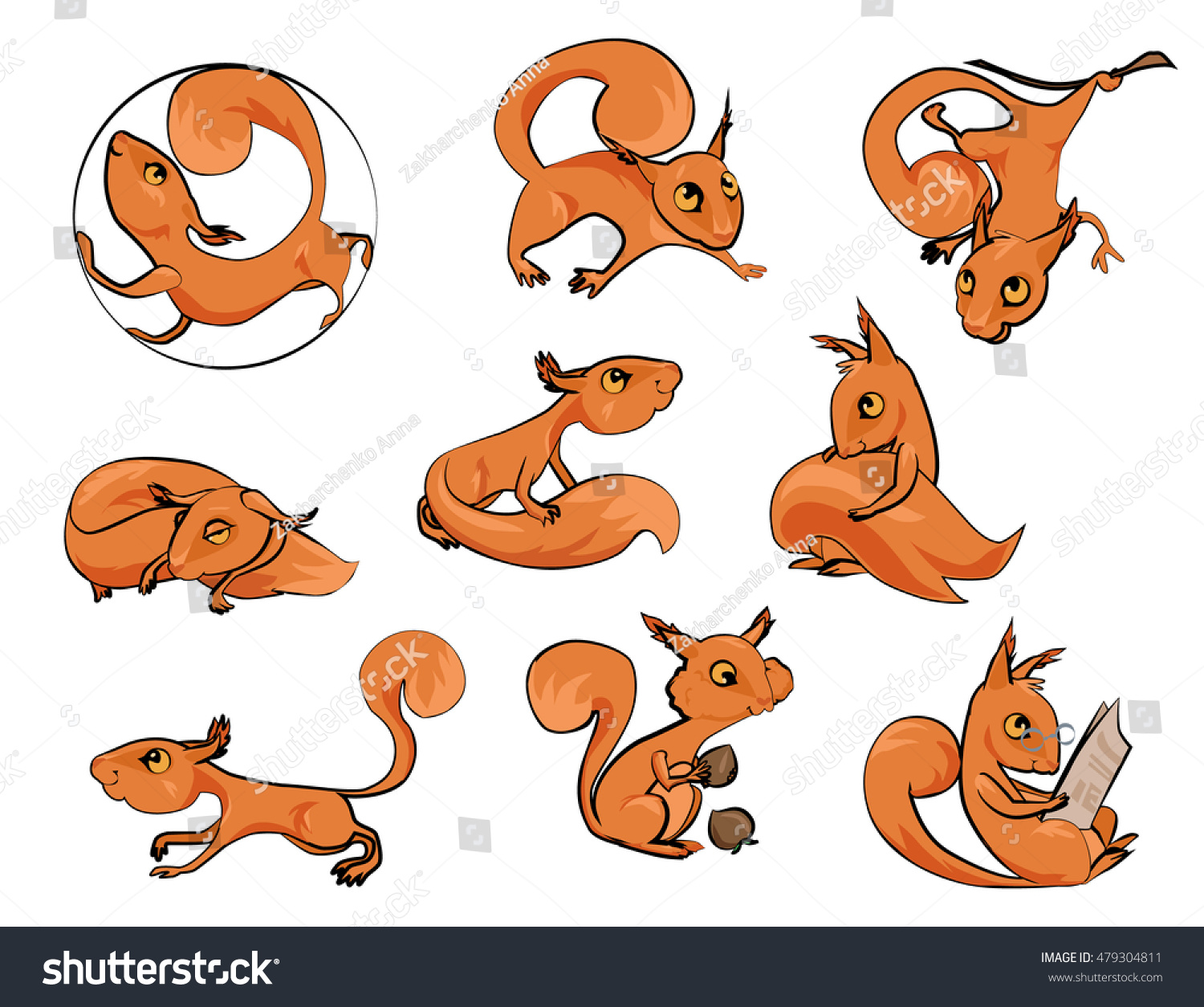 Set Cartoon Cute Squirrels Different Poses Stock Vector (Royalty Free ...