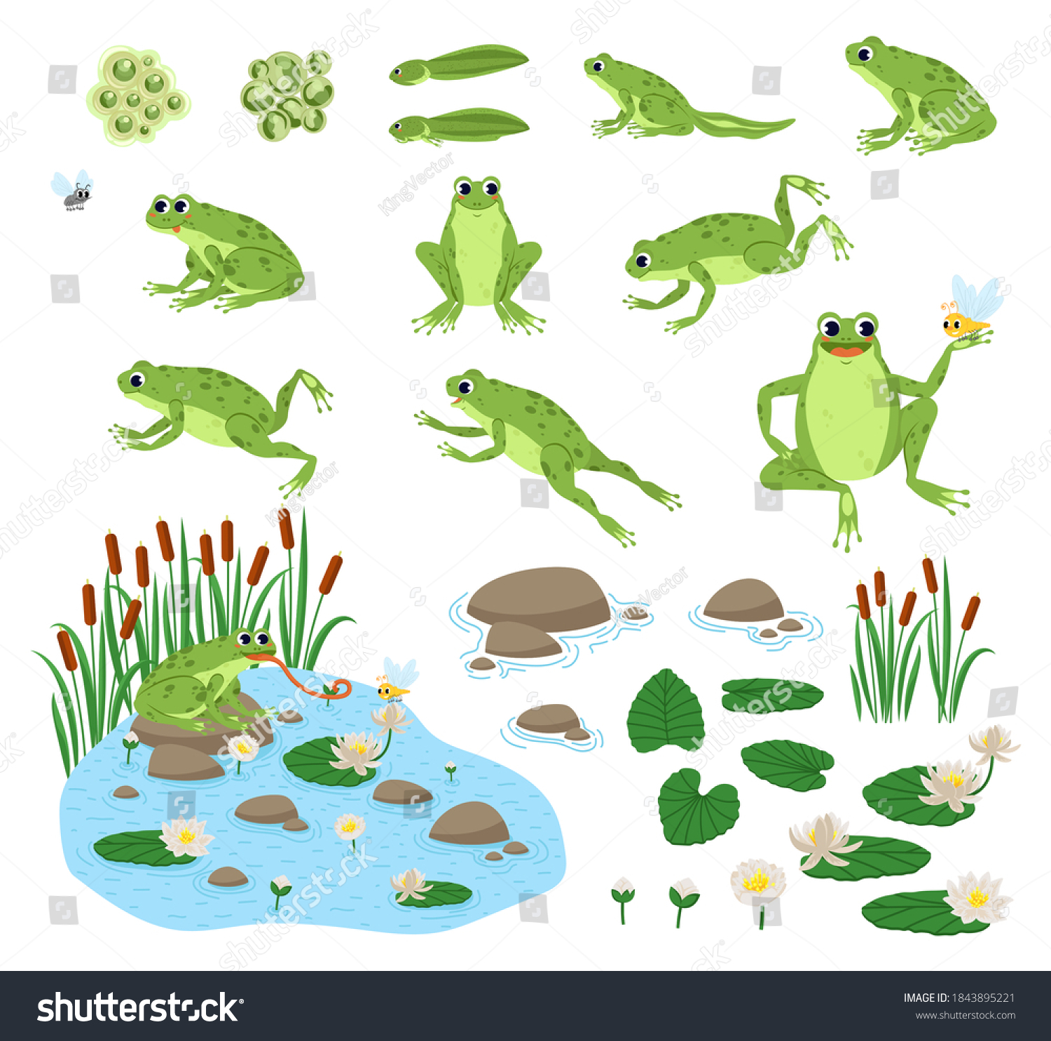 SVG of Set of cartoon hungry frog sad, smile, resting and hunting. Happy frog sit and jump clip art, different pose, with pond, plants, dragonfly. svg