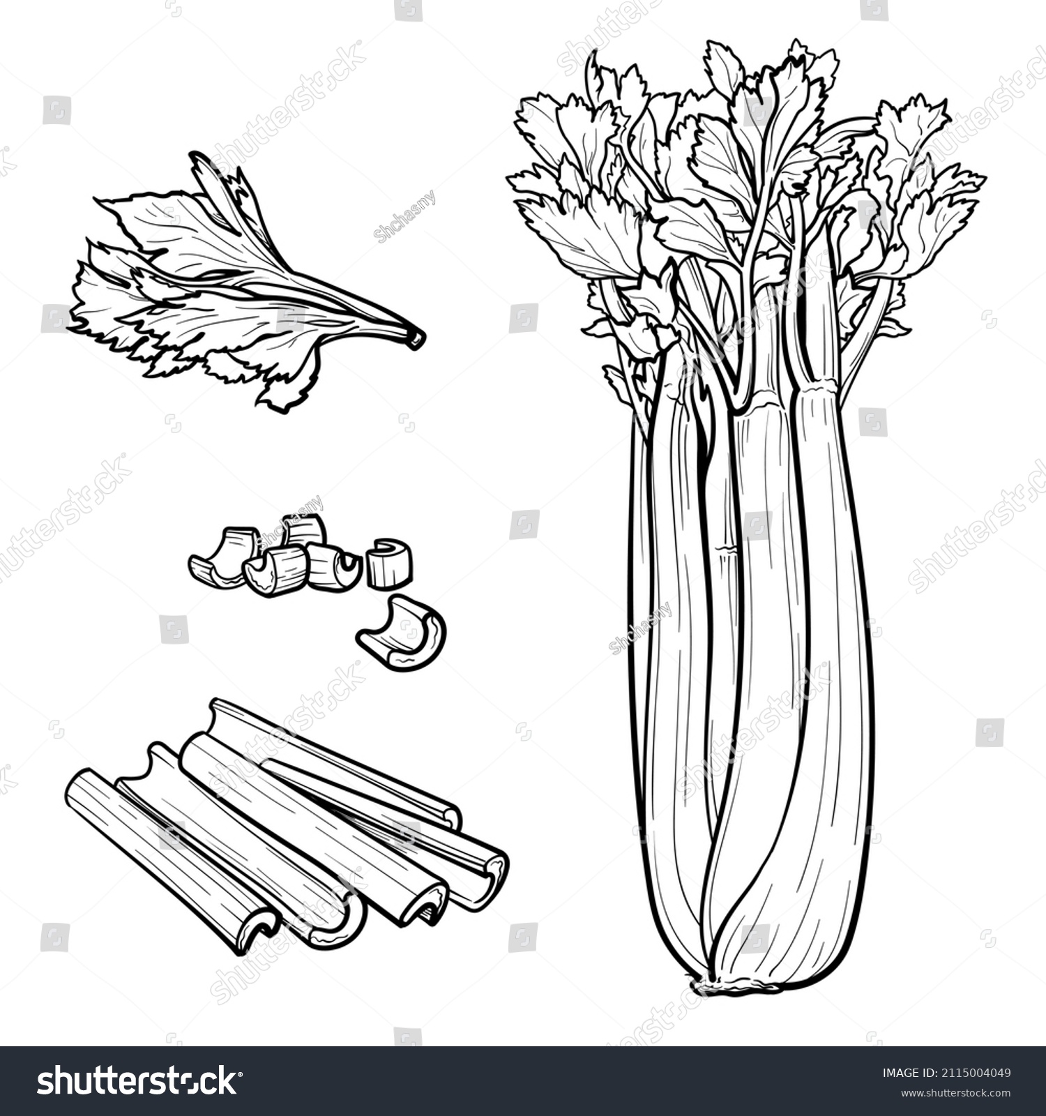 4,472 Celery drawing Images, Stock Photos & Vectors Shutterstock