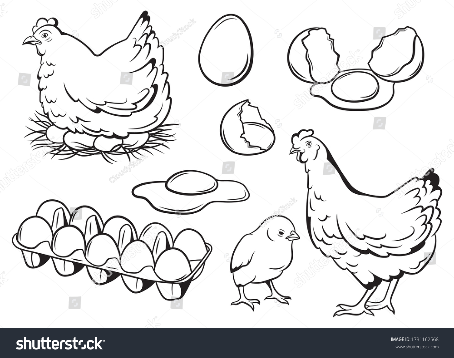 Coloring Page Mother Hen Baby Chicks Stock Vector Royalty Free ...