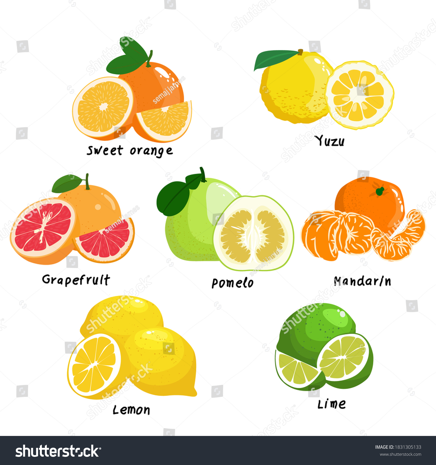 Citrus-family Images, Stock Photos & Vectors | Shutterstock