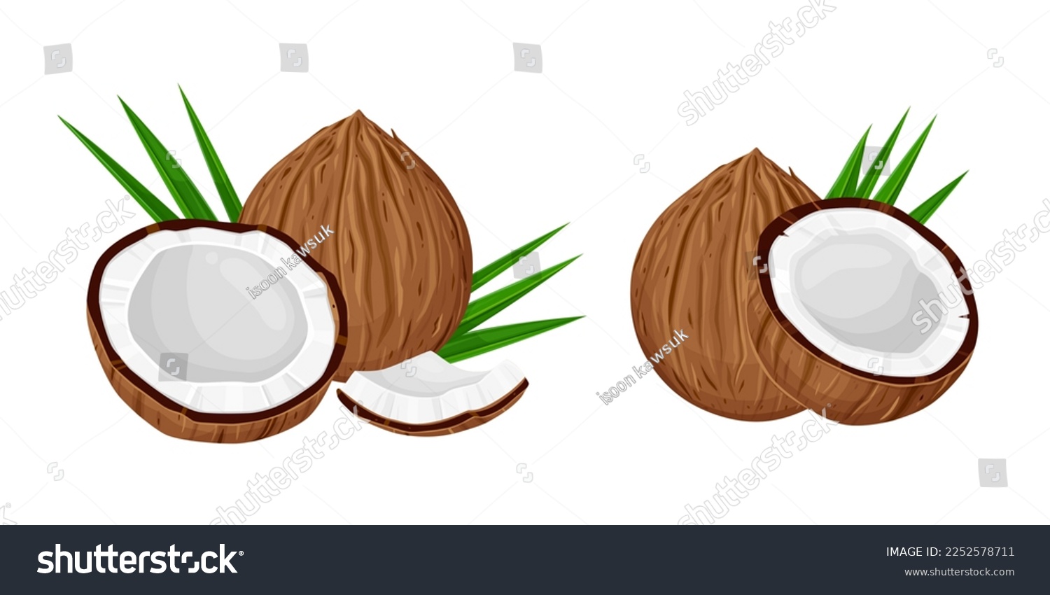 SVG of set of Coconut and leaves isolated on white background. Vector illustration cartoon  isolated on white svg