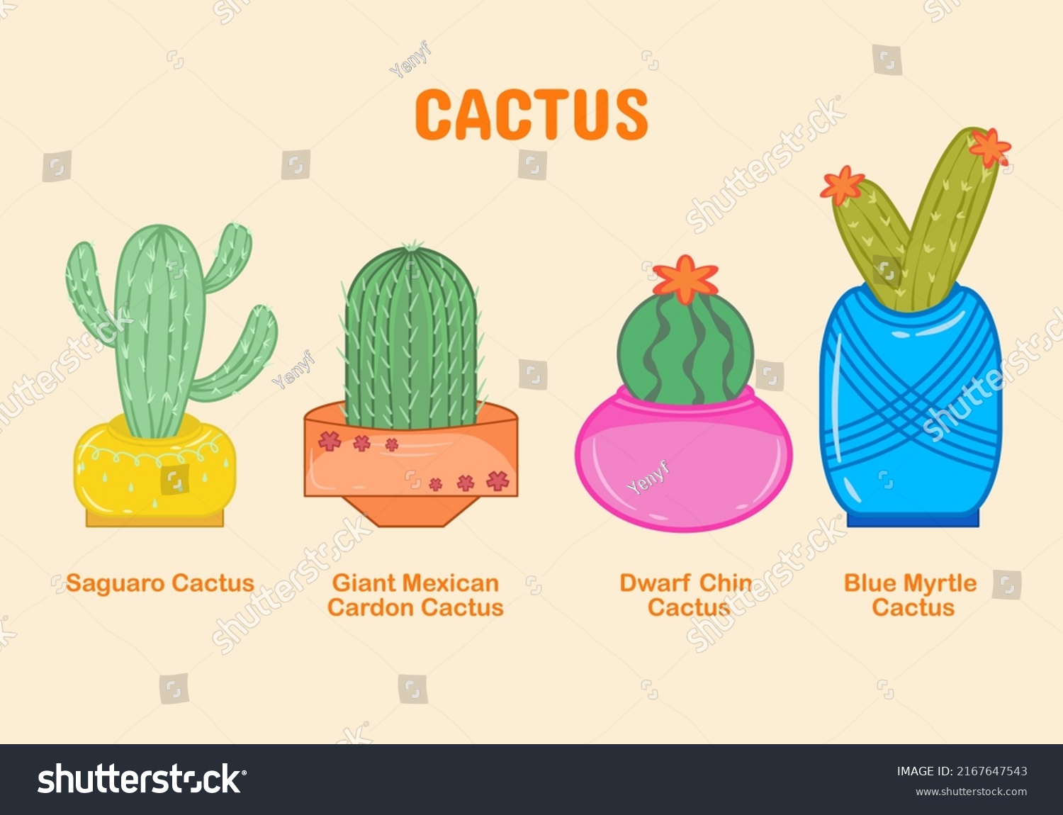 SVG of Set of collection cactus plant in a pot svg