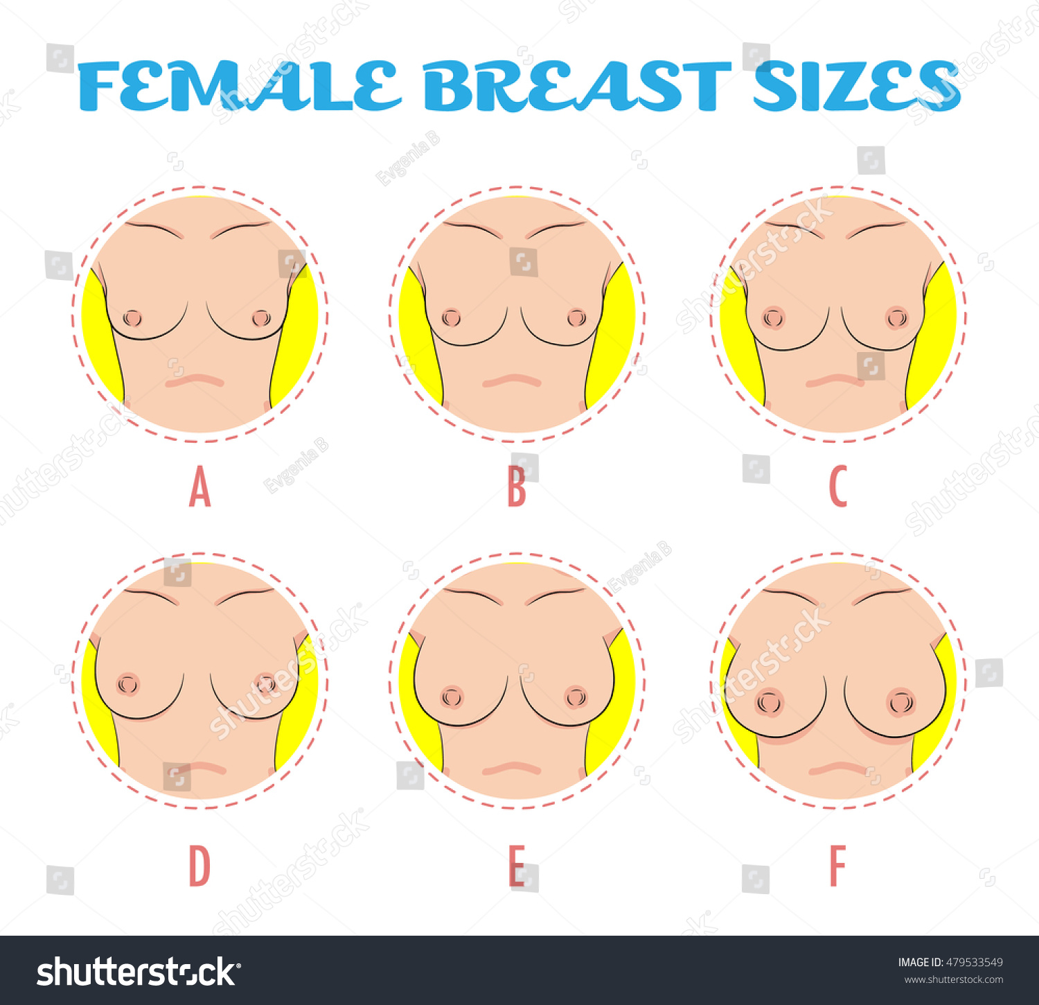 Size Of Boob 31