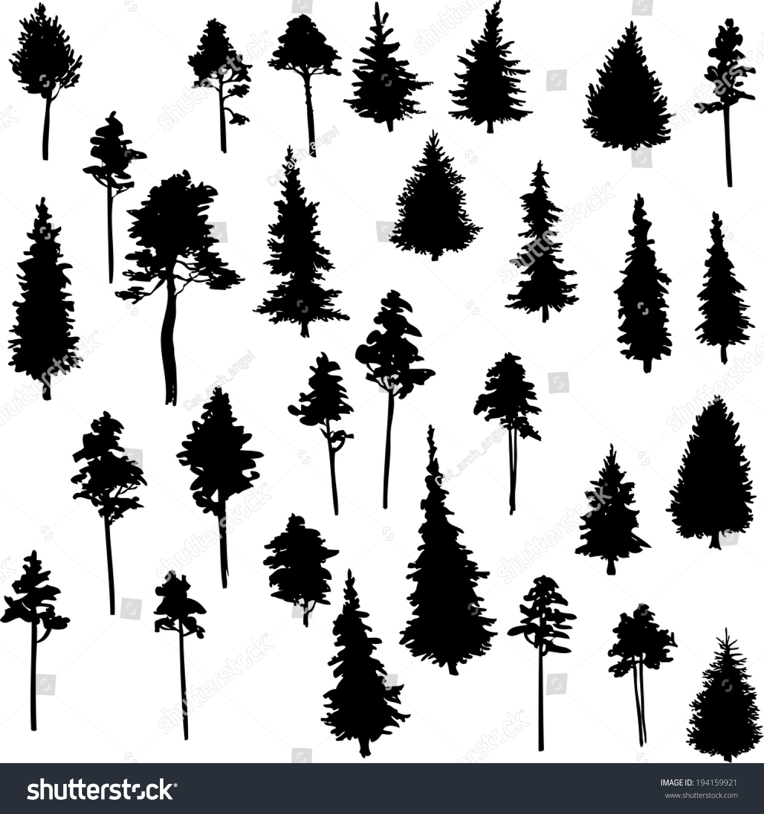 SVG of set of conifer trees, nature design element, vector illustration svg