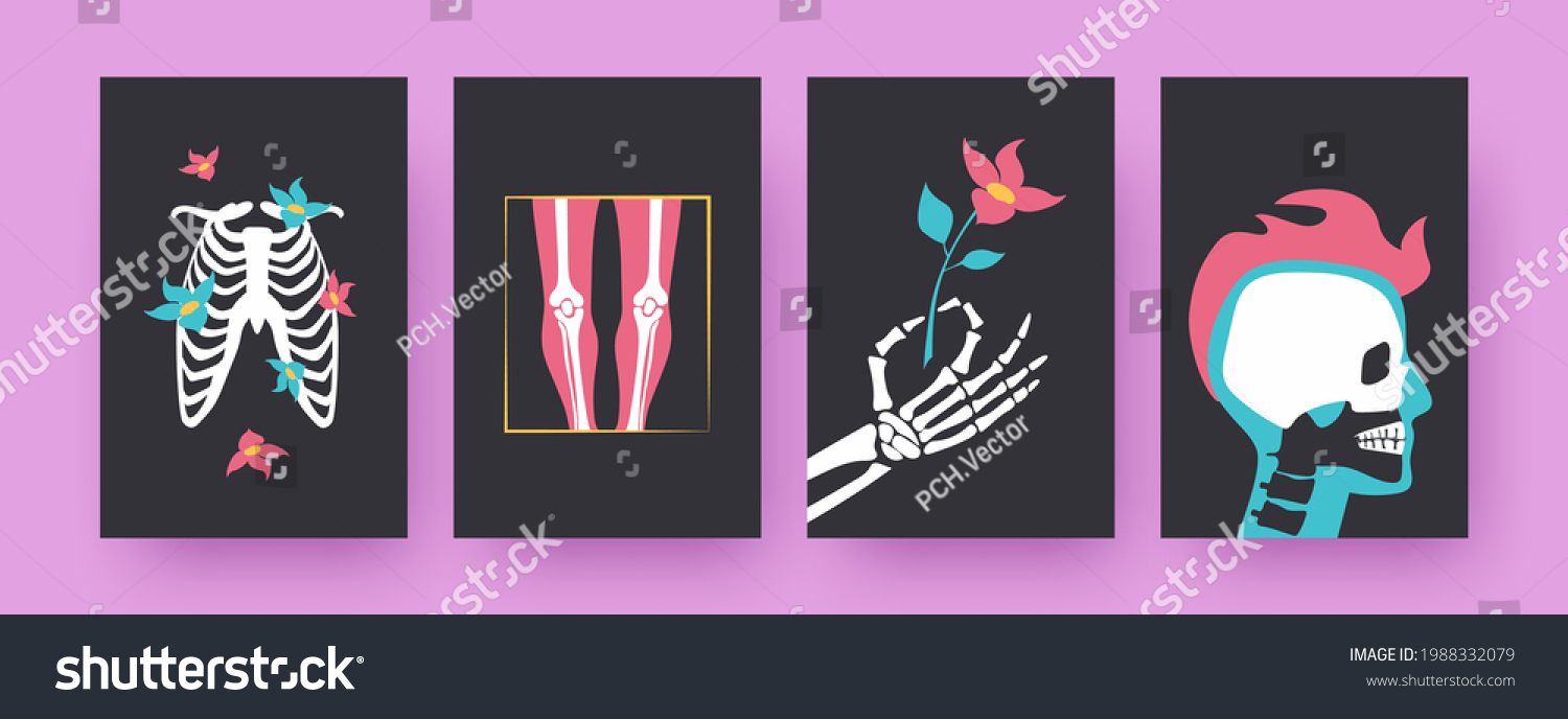 Set Contemporary Posters Floral Human Skeleton Stock Vector Royalty Free 1988332079 Shutterstock