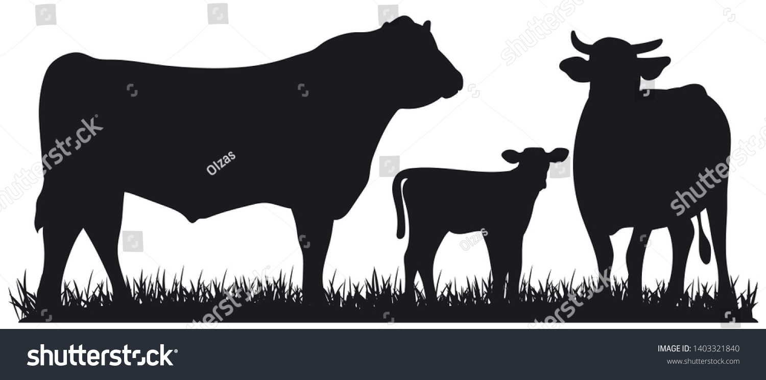 SVG of Set of cows. Black silhouette bull, cow and calf isolated on white. Hand drawn vector illustration. svg