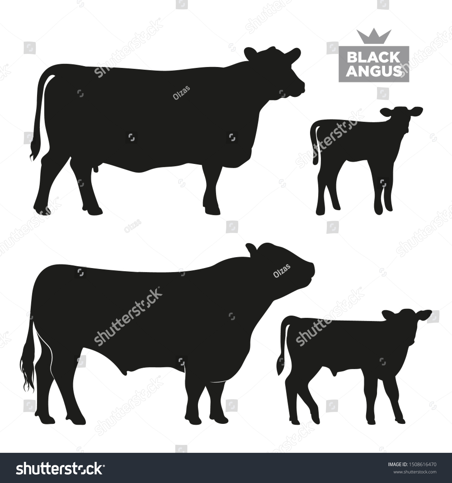 SVG of Set of cows. Black silhouette bull, cow and calfs isolated on white. Breed Black Angus. Hand drawn vector illustration. svg