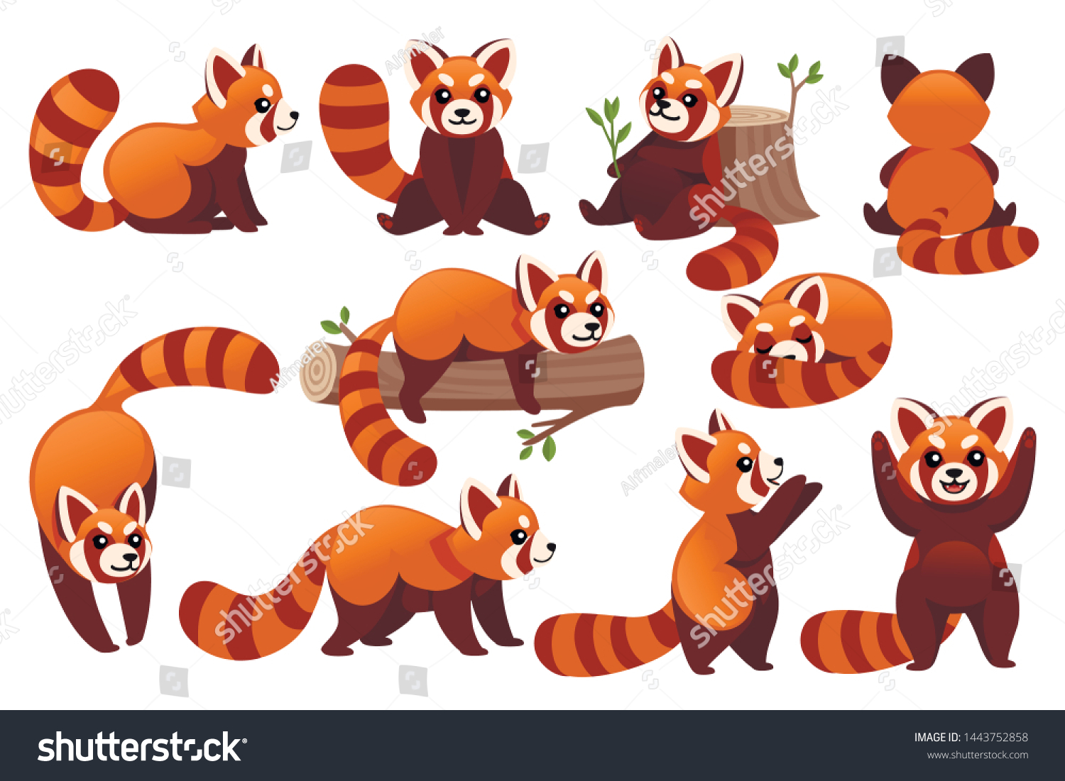 SVG of Set of cute adorable red panda in different poses cartoon design animal character flat vector style illustration on white background svg