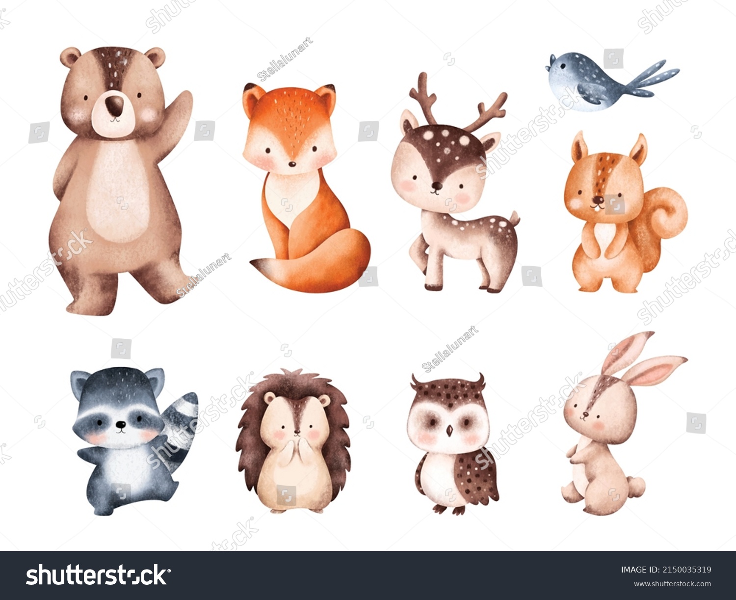 SVG of Set of Cute Woodland Animals Illustration  svg