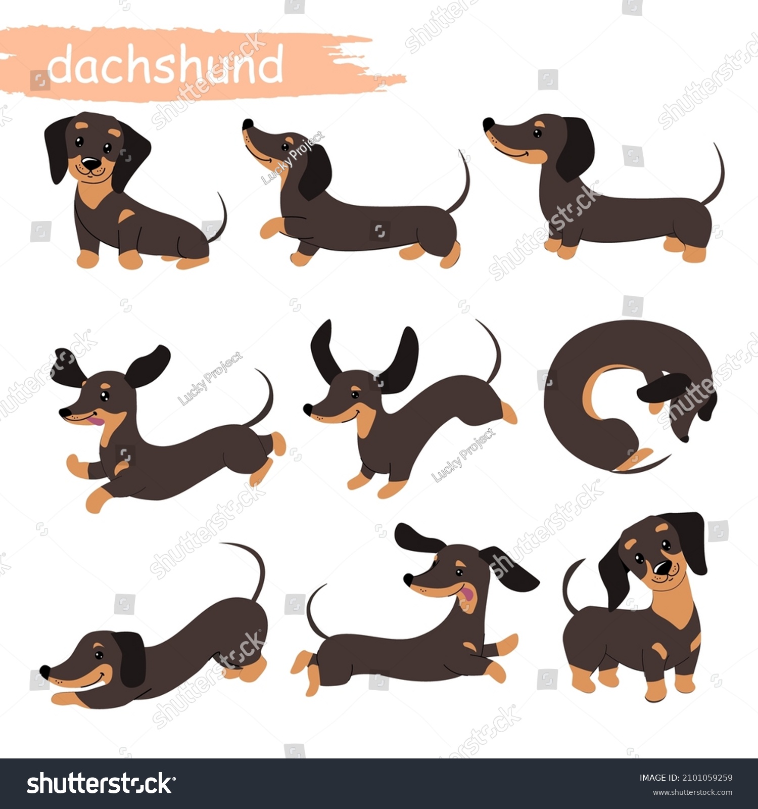 SVG of Set of dachshund dogs in different poses. Vector cartoon illustration. Domestic pet. Design for print svg