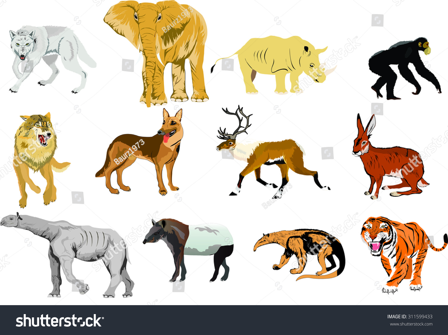 Set Of Different Colored Animals Elephant, Wolf, Deer, Tiger, Tapir ...