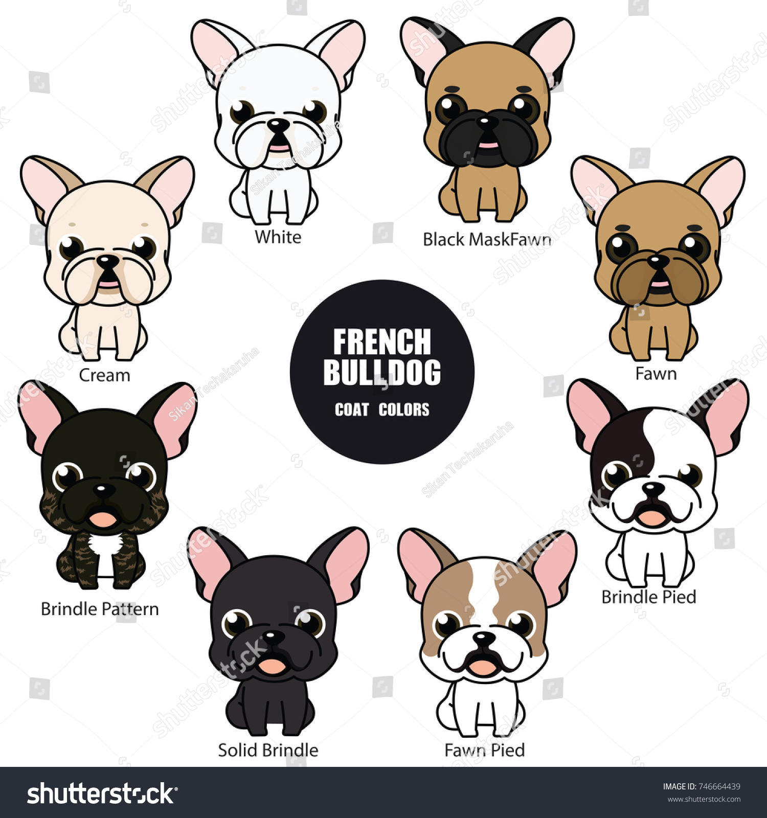 french bulldog coat types