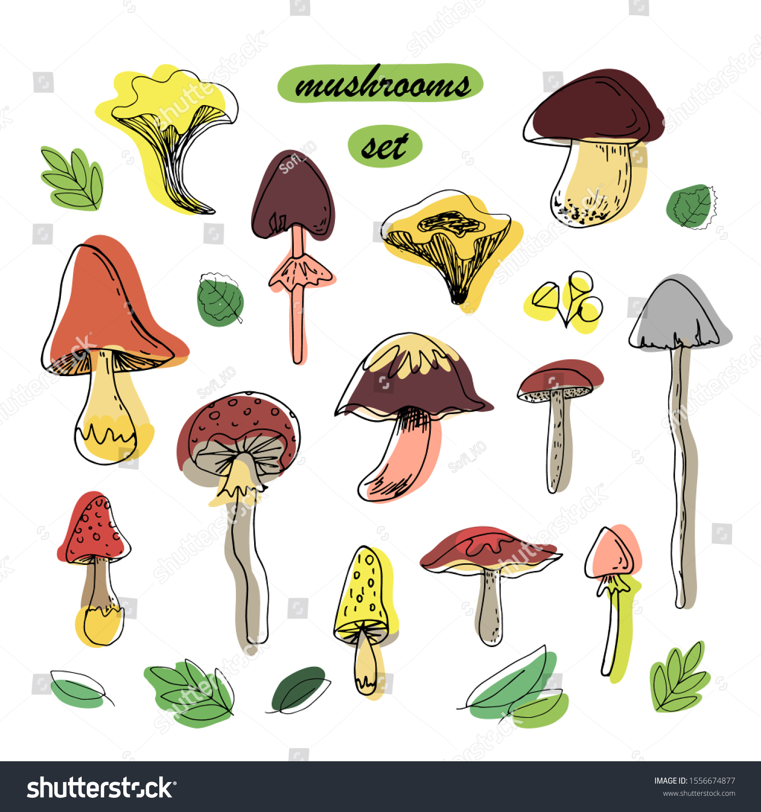 Set Different Edible Inedible Mushrooms On Stock Vector Royalty Free