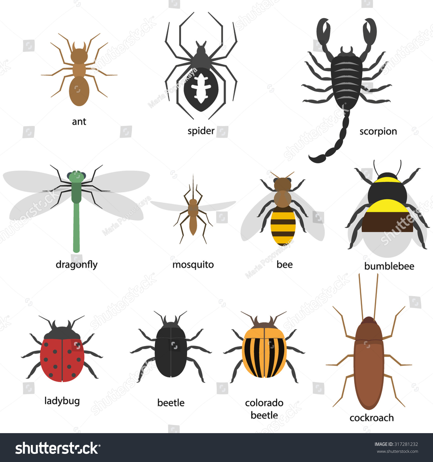 Set Different Insects Stock Vector 317281232 - Shutterstock