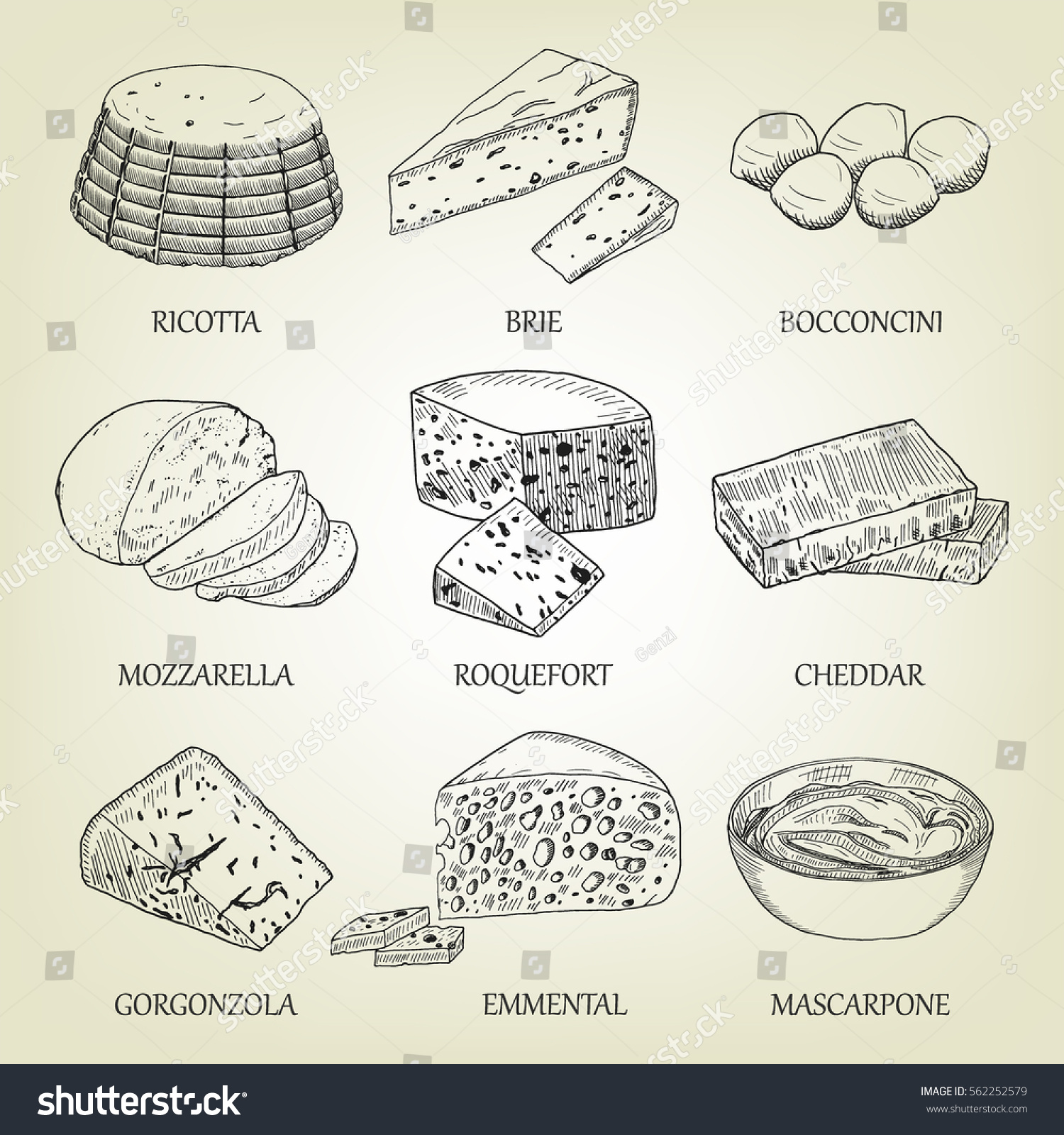 Set Different Kinds Graphic Cheese Realistic: เวกเตอร์สต็อก (ปลอดค่า ...