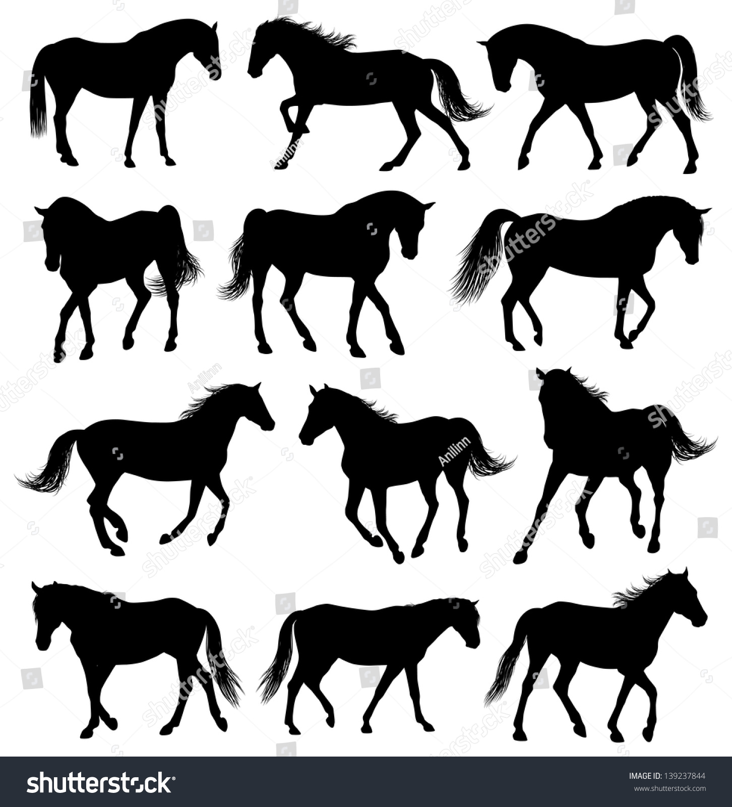 Set Of 12 Different Moving Horses Silhouettes Stock Vector Illustration ...