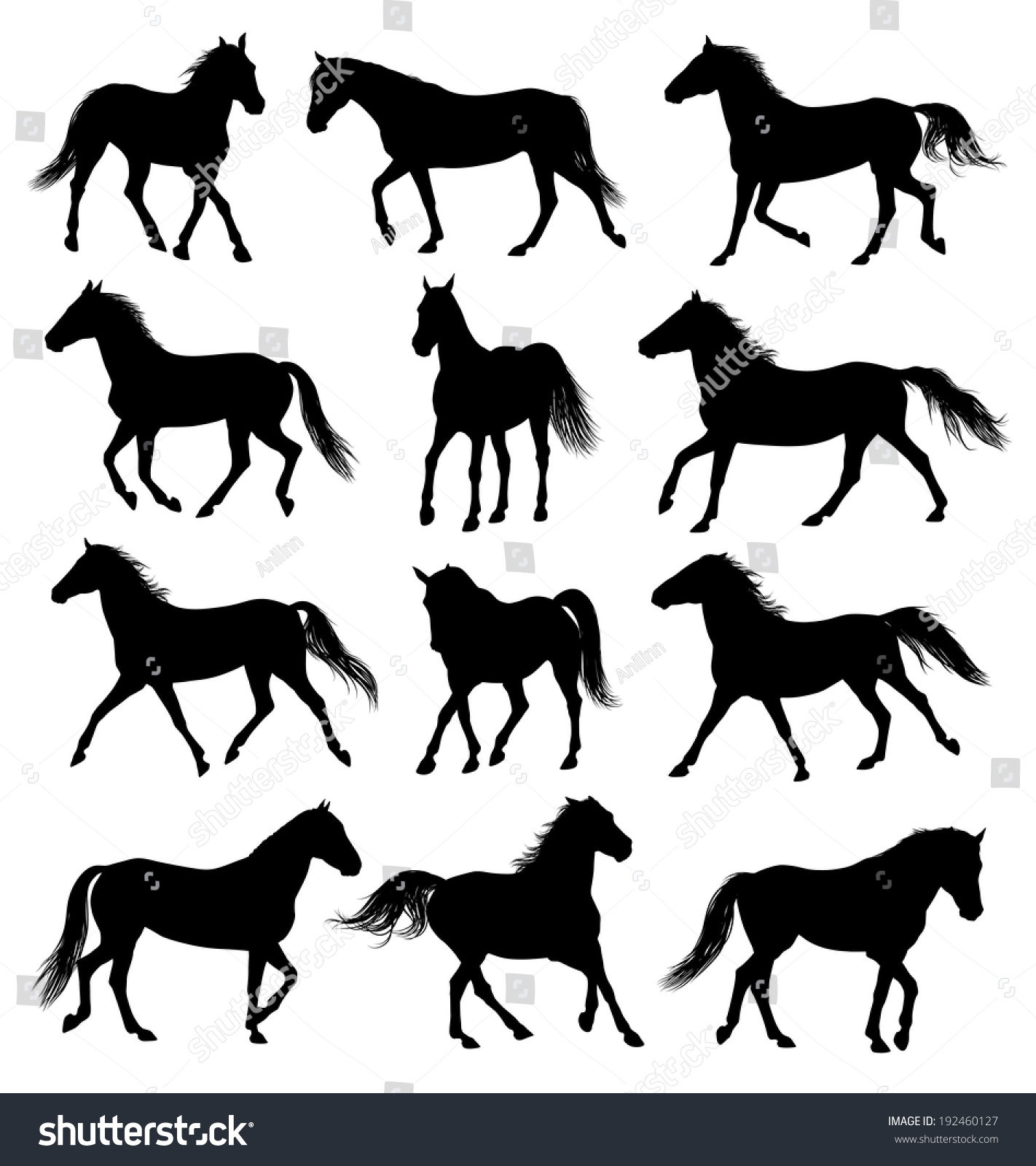 Set Of 12 Different Moving Horses Silhouettes Stock Vector Illustration ...