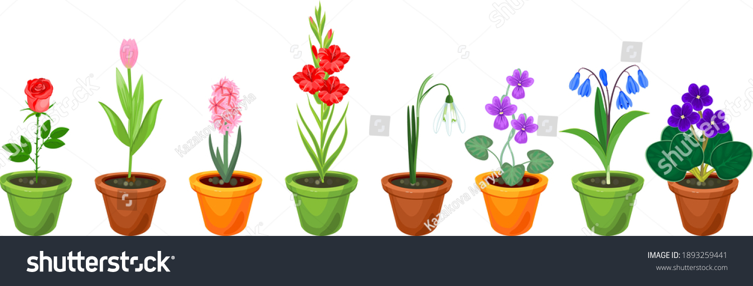 8-080-different-plant-species-images-stock-photos-vectors-shutterstock