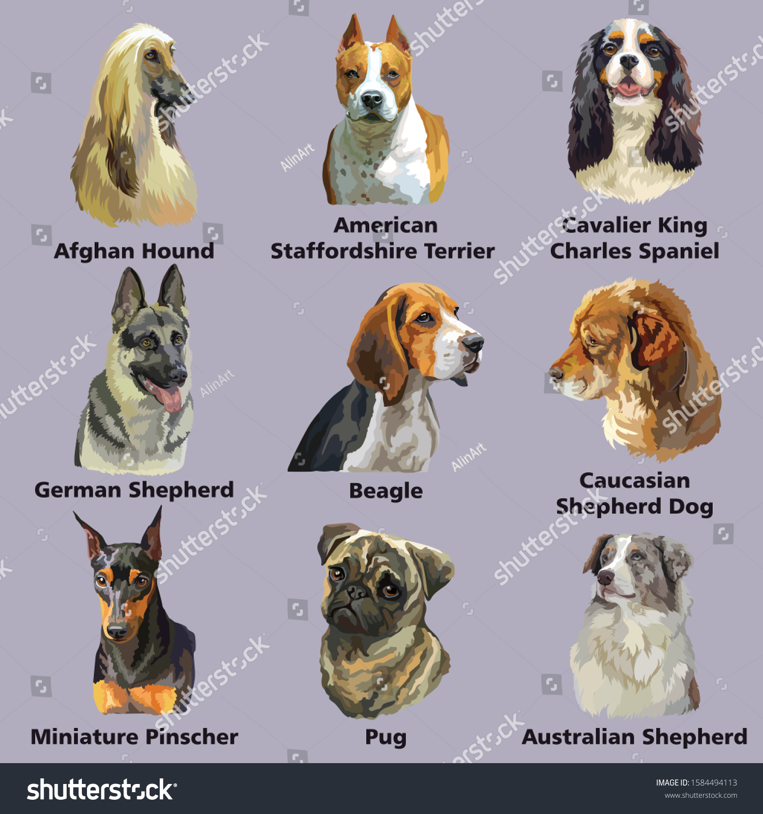 german hound breeds