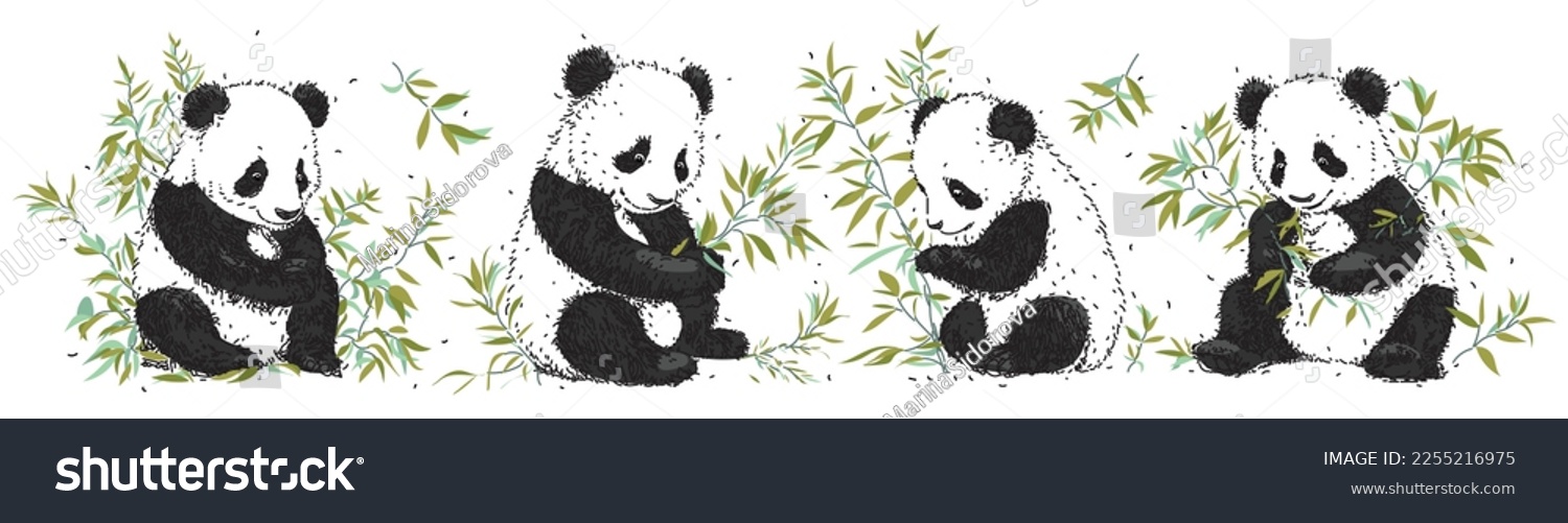 SVG of Set of drawn pandas among bamboo branches. Vector panda eats leaves. Collection of exotic animals. hand drawn vector illustration svg