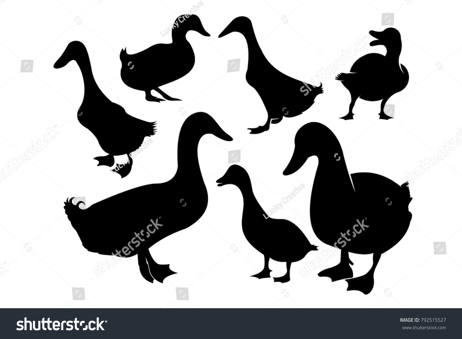 6,664 Silhouette of mallard Images, Stock Photos & Vectors | Shutterstock