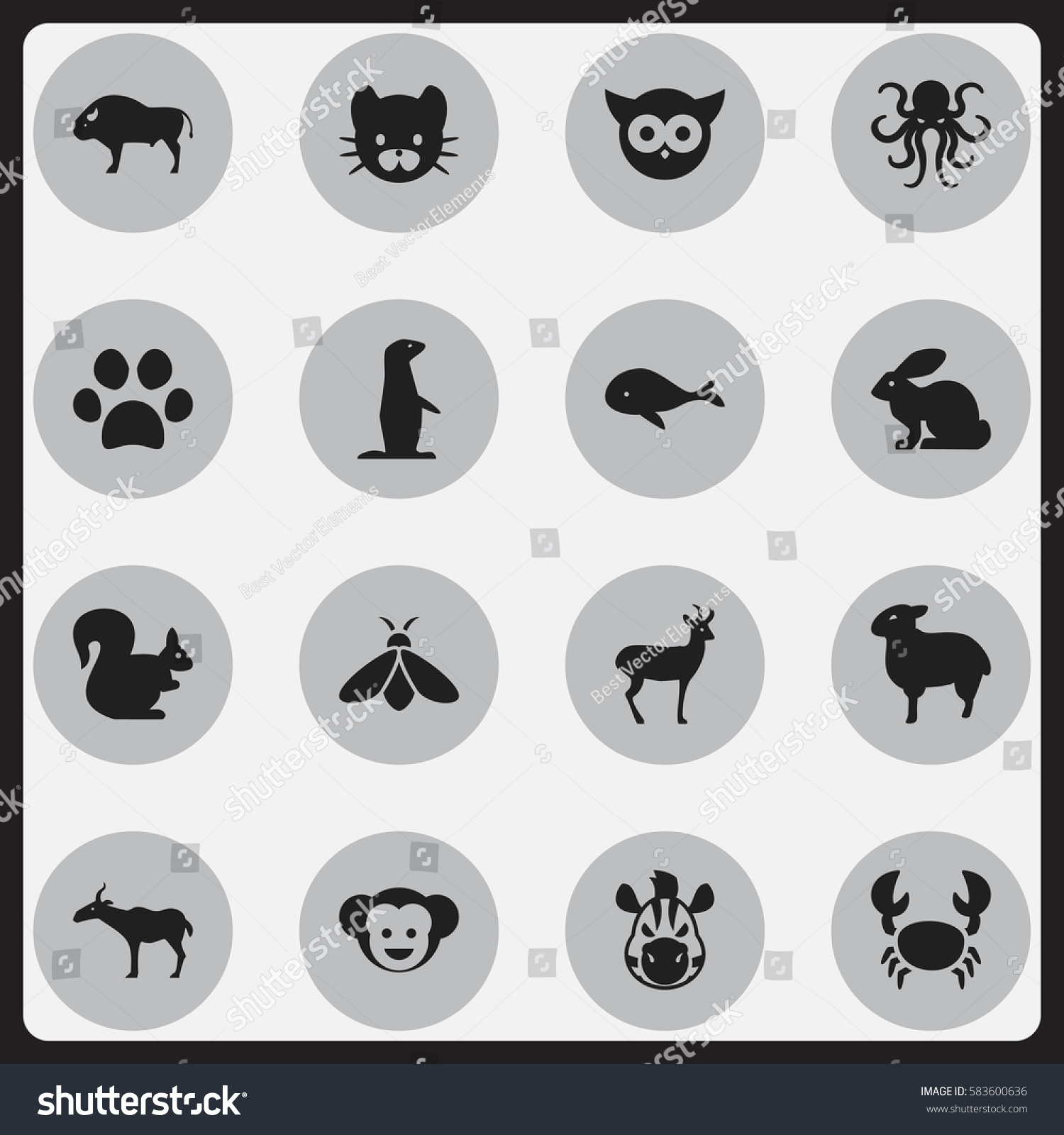 Set 16 Editable Zoology Icons Includes Stock Vector 583600636 ...